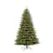 7.5ft. Pre-Lit Fraser Fir Artificial Christmas Tree, Color Select Clear & Multi-Colored Lights